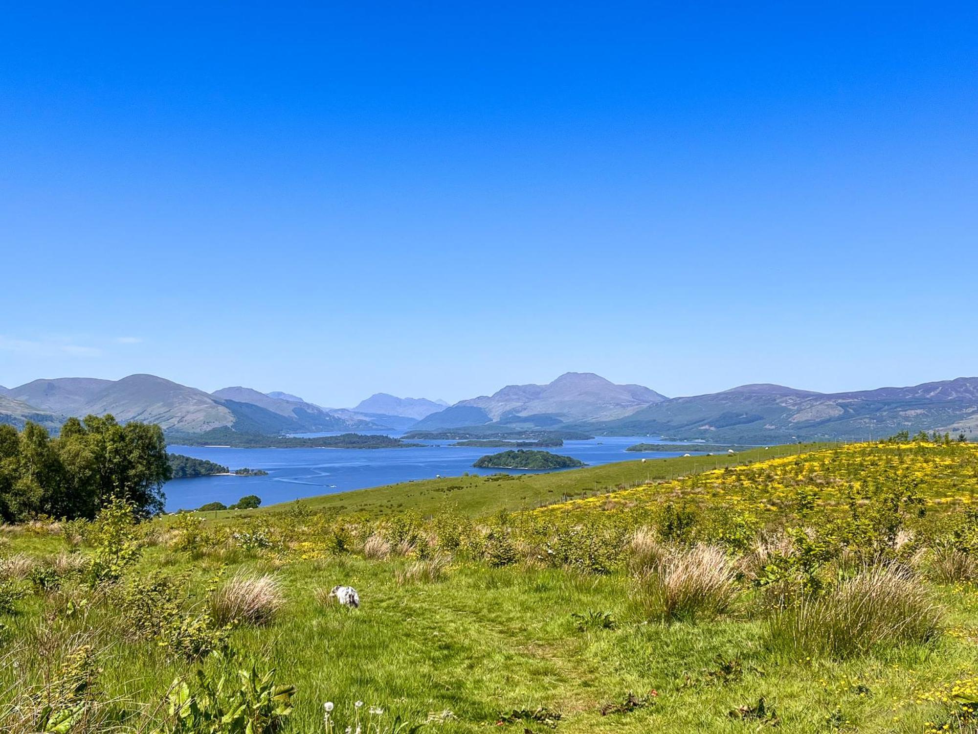 Stable Cottage, Gartocharn, Loch Lomond 알렉산드리아 외부 사진